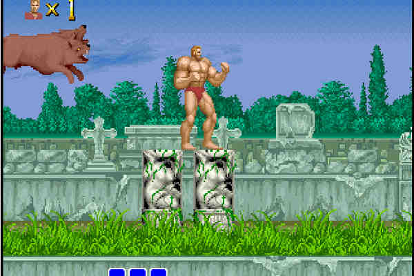 Altered Beast PC Game Download