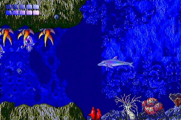 Ecco the Dolphin Setup Free Download