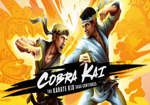 Cobra Kai The Karate Kid Saga Continues Game Free Download