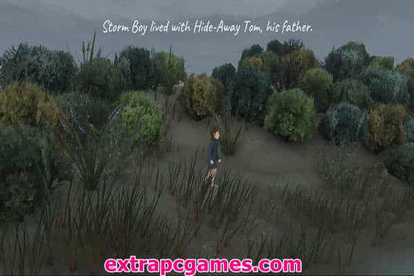 Download Storm Boy Game For PC