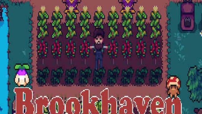 Brookhaven PRE Installed Game Free Download