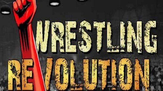 Wrestling Revolution 2D Pre Installed Game Full Version Free Download