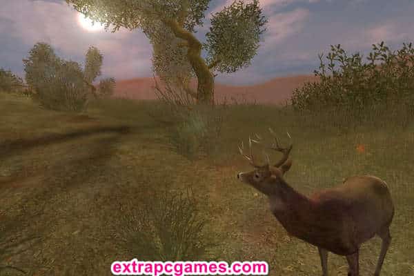 Cabela's Big Game Hunter 2004 Season Repack PC Game Download