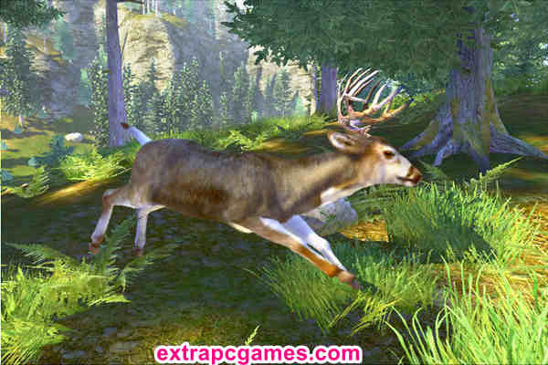 Cabela's Trophy Bucks Repack Full Version Free Download