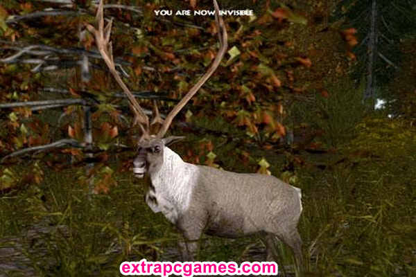 Download Cabela's Grand Slam Hunting 2004 Trophies Repack Game For PC