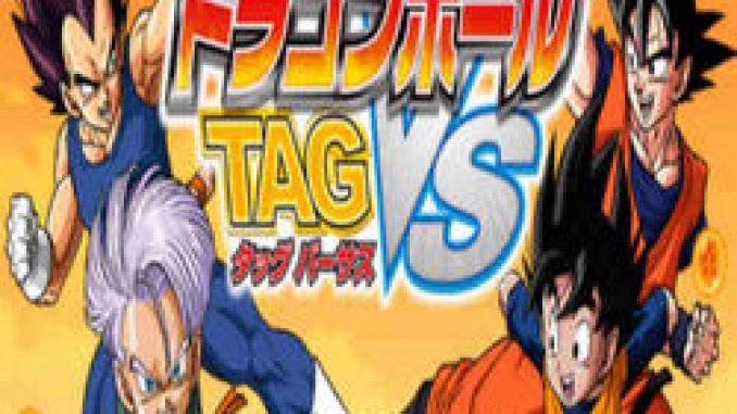 Dragon Ball Tag VS PC Game Full Version Free Download